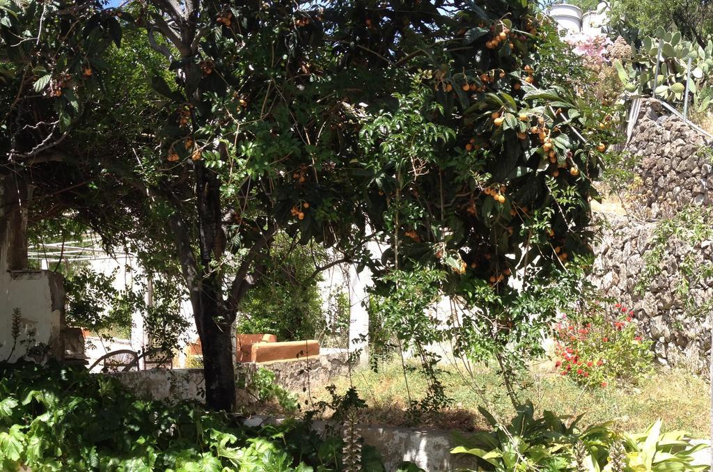 Casa Del Caminero En Tejeda Konuk evi Dış mekan fotoğraf